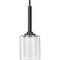 Progress Lighting Kene Collection Graphite One-Light Mini-Pendant P500103-143 - alternate 1